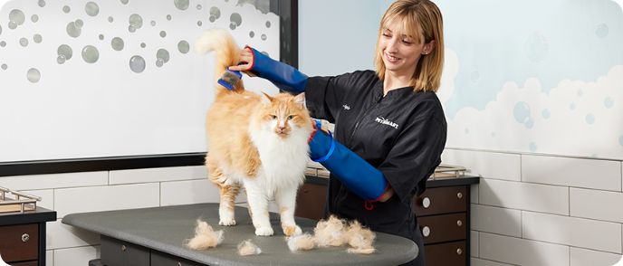 Dog Grooming & Cat Grooming Services