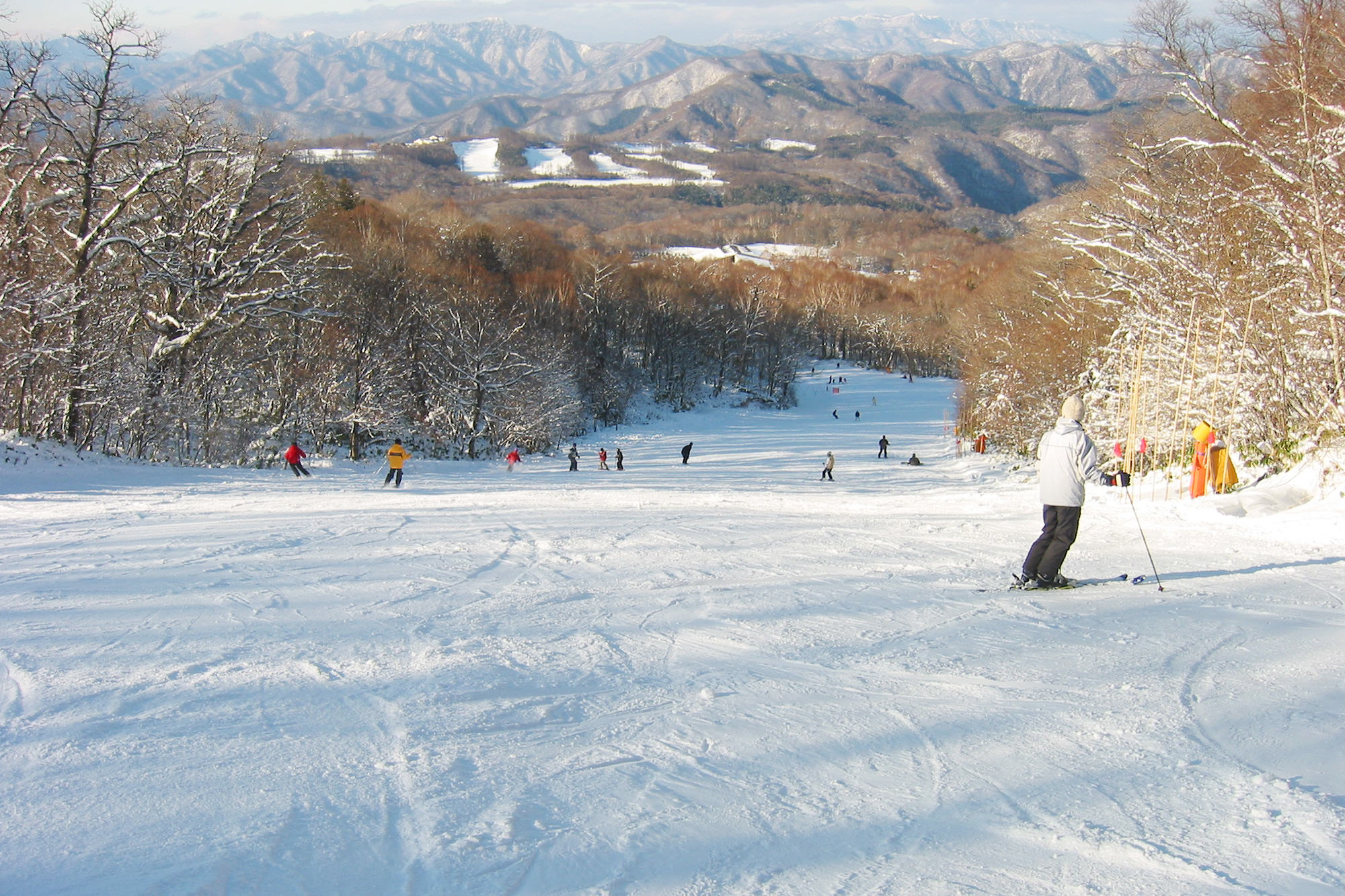 Winter Sports for Beginners and Experts Alike | Nikko