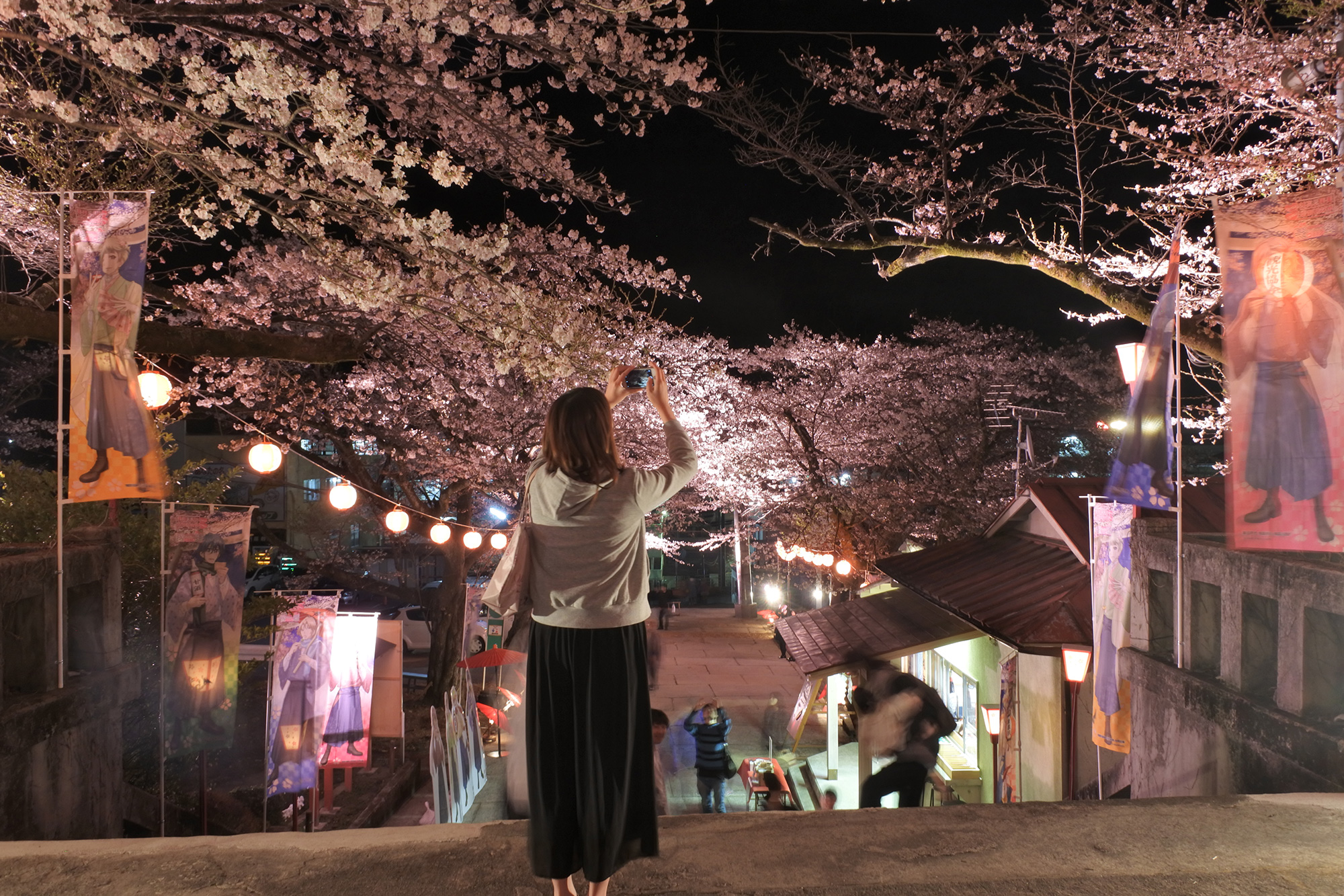 Cherry Blossoms by Boat and Illuminations Nikko Official Guide