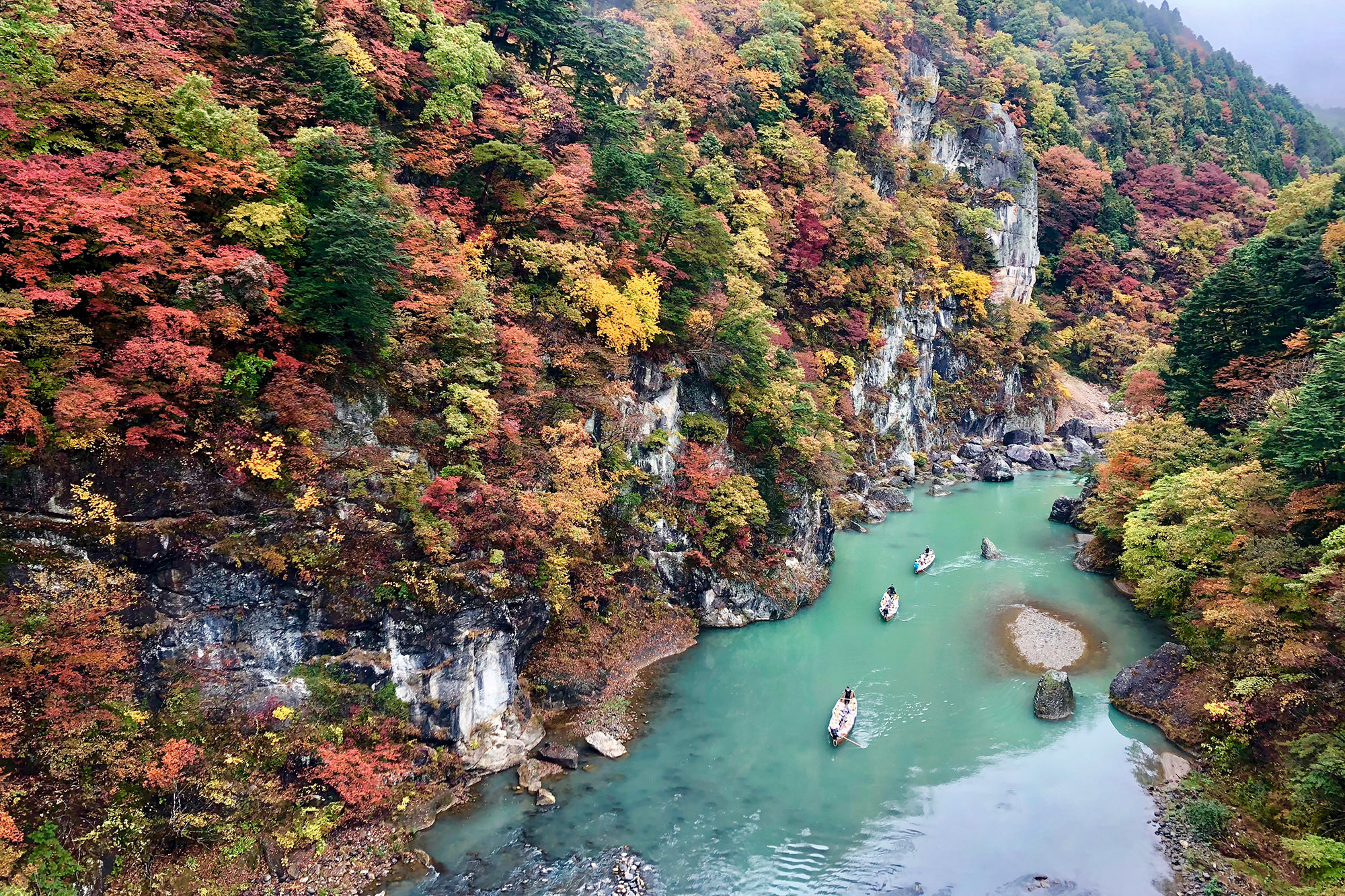 Nikko, Tochigi | Laura Murray