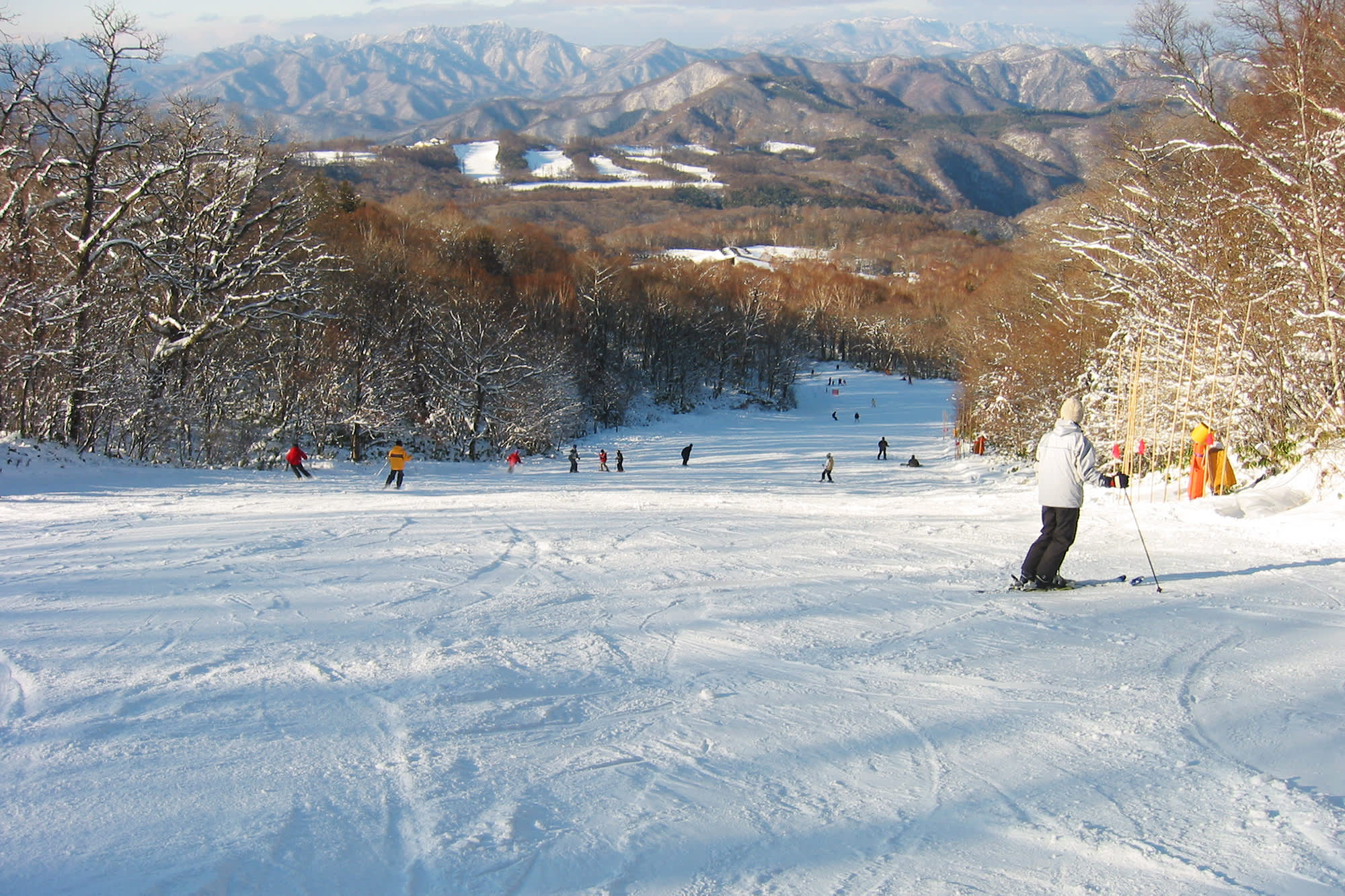 Jirafa bolígrafo calentar Warm Up With Nikko's Winter Sports | Nikko Official Guide