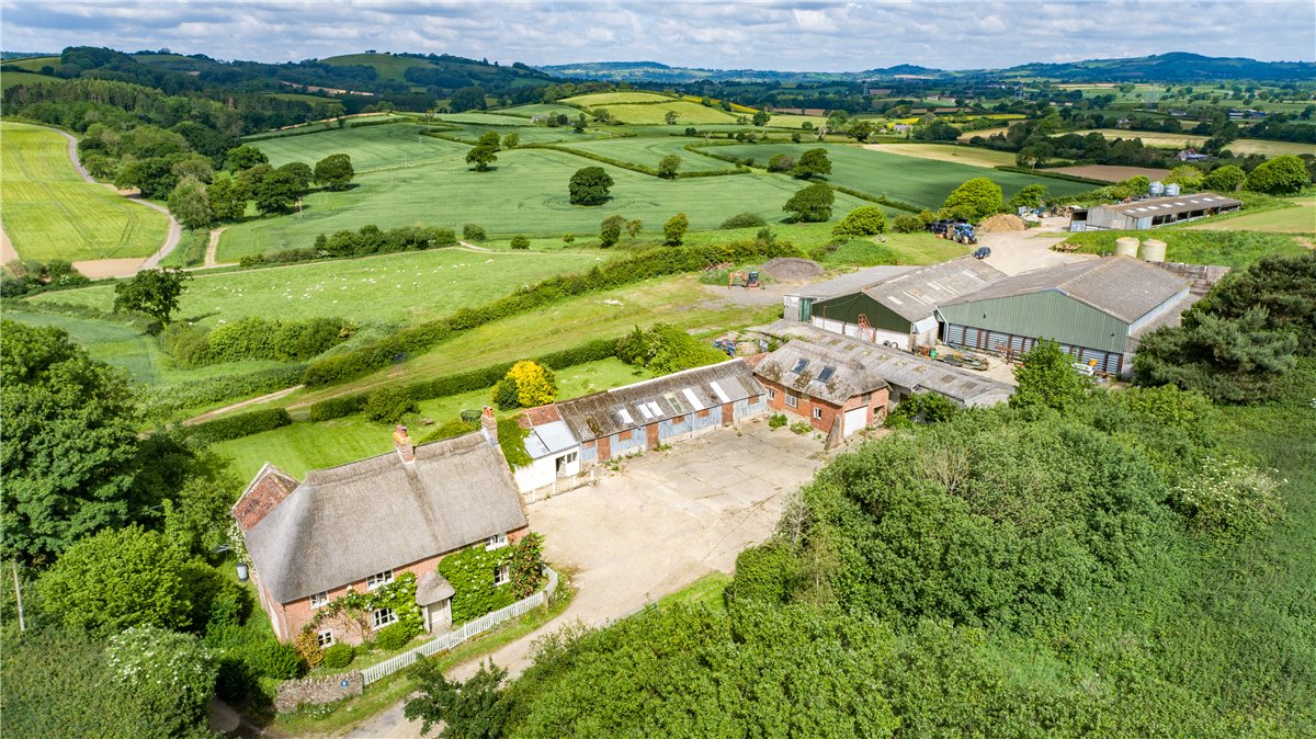 518  Farm, Dottery, Bridport, DT6 - Sold, Image 26