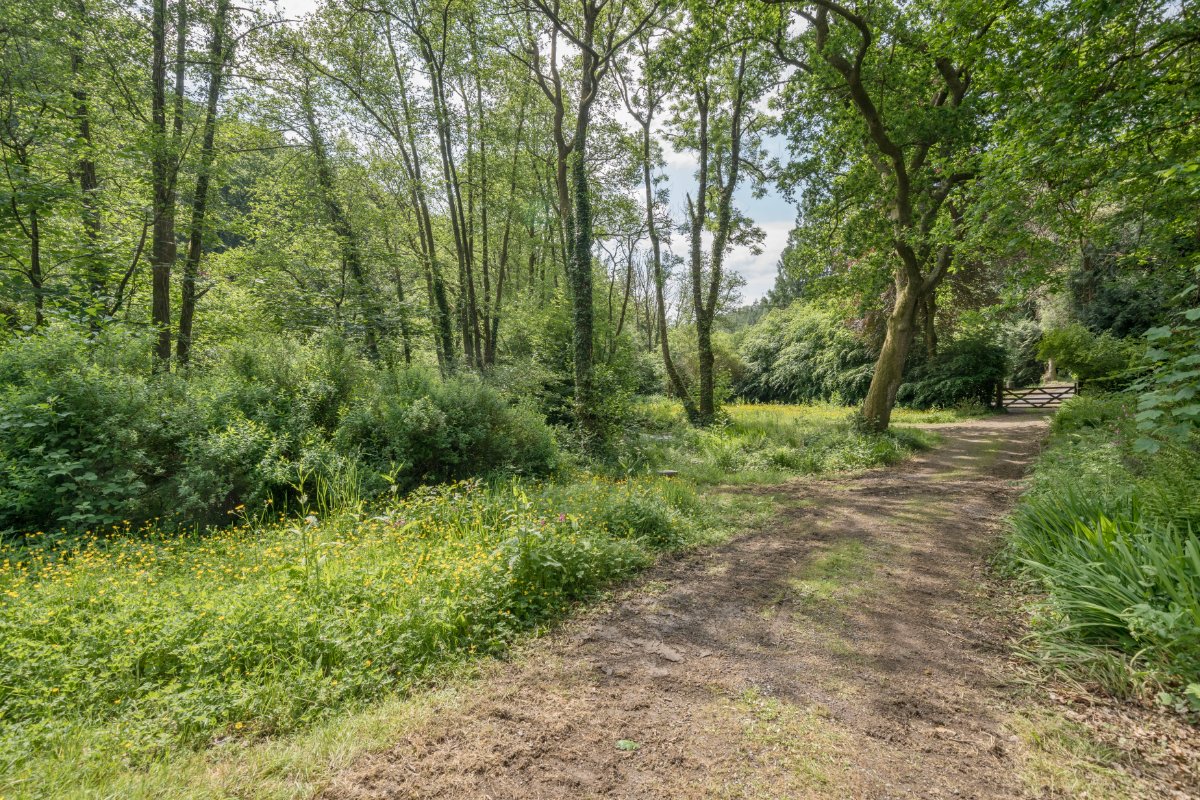 17.7  Country Estate, Muddiford, Barnstaple, EX31 - Available, Image 17