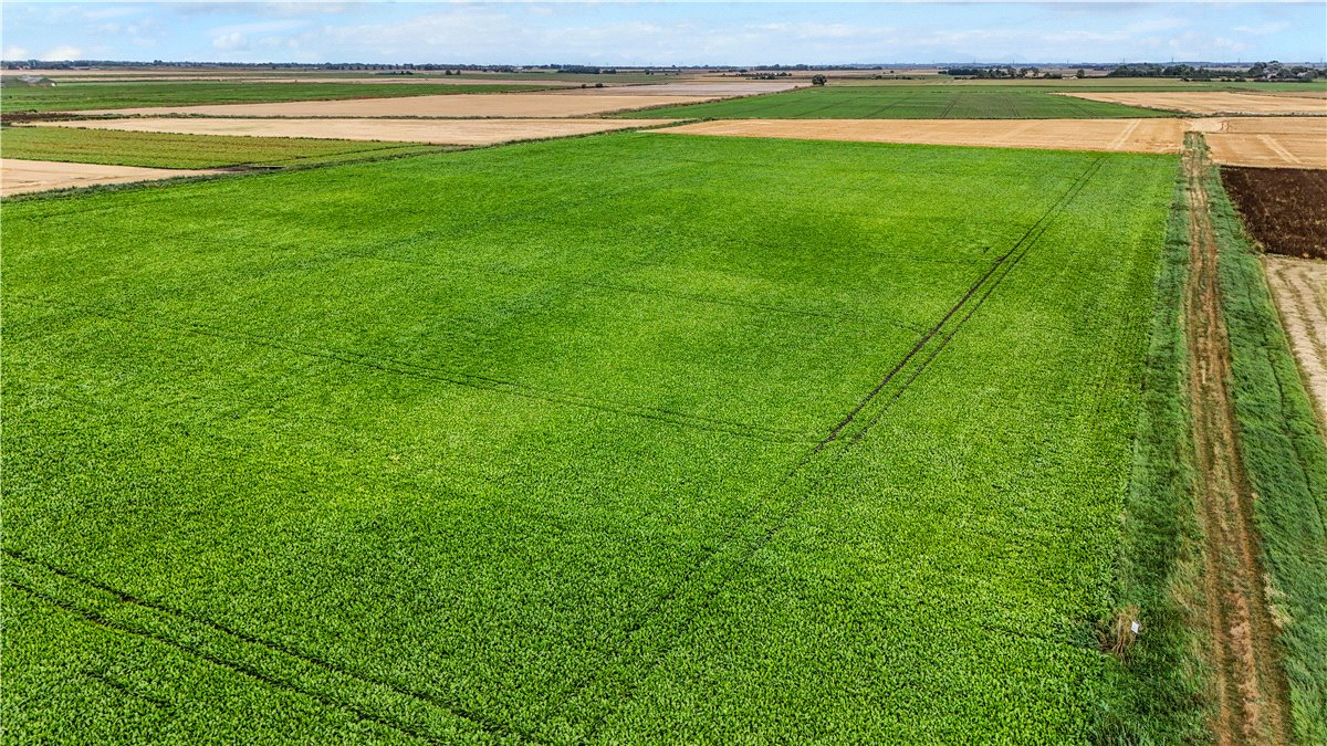 6.58  Land, Little Downham, Ely, CB6 - Available, Image 2