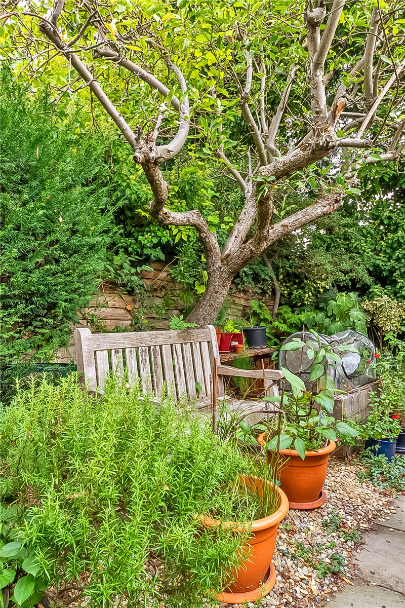 2 bedroom Maisonette, Althorp Road, London, SW17 - Available, Image 14