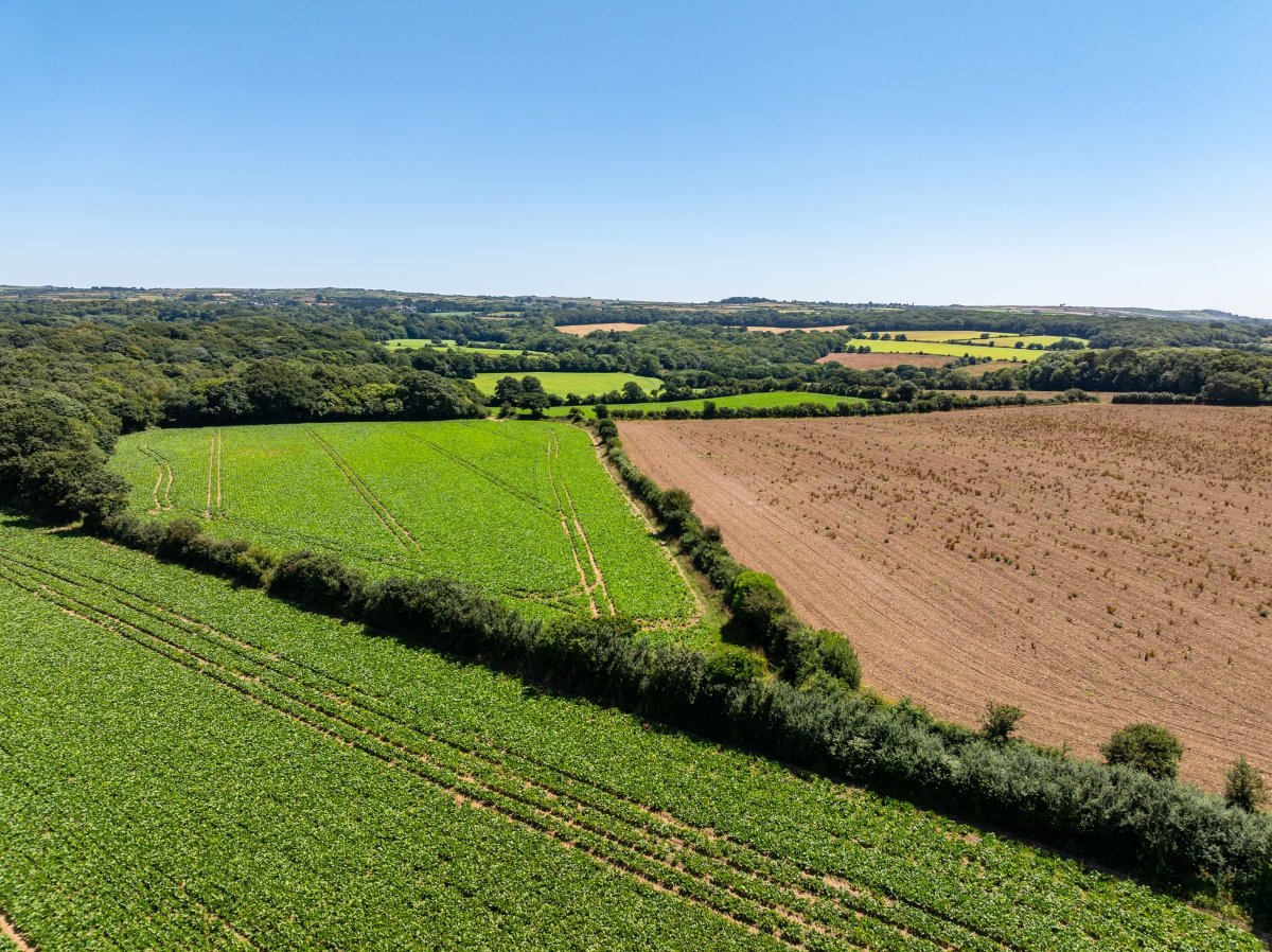 198  Land, Praze, Camborne, TR14 - Sold, Image 10