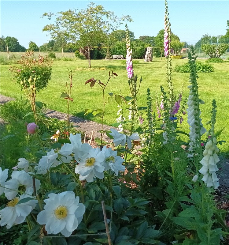 5 bedroom House, Netherton Road, Appleton, OX13 - Sold, Image 11