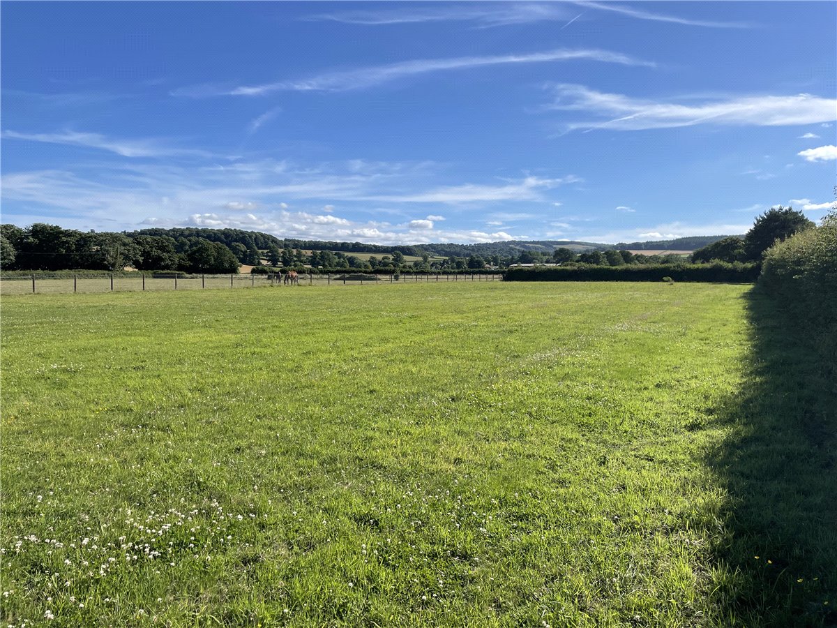 1.51  Land, Plum Paws Meadow, Spaxton, TA5 - Sold