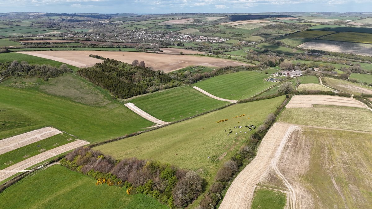 276.92  Farm, Cruxton Manor Farm, Cruxton, DT2 - Available, Image 15
