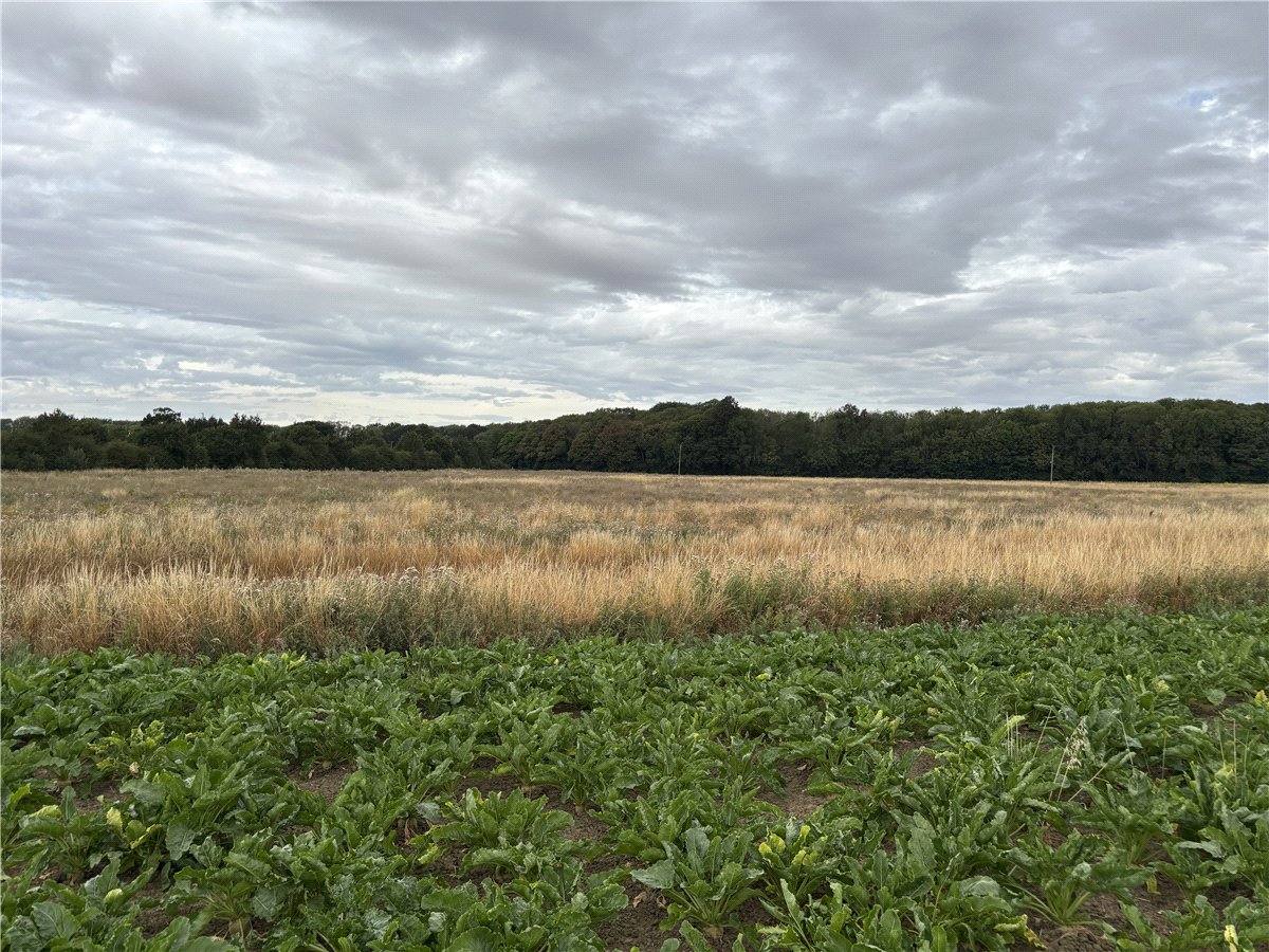   Land, Land At Owston, Doncaster, DN5 - Available, Image 6