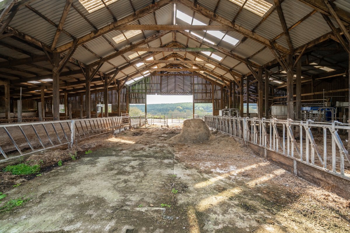 5 bedroom House, Ladock, Truro, TR2 - Available, Image 27