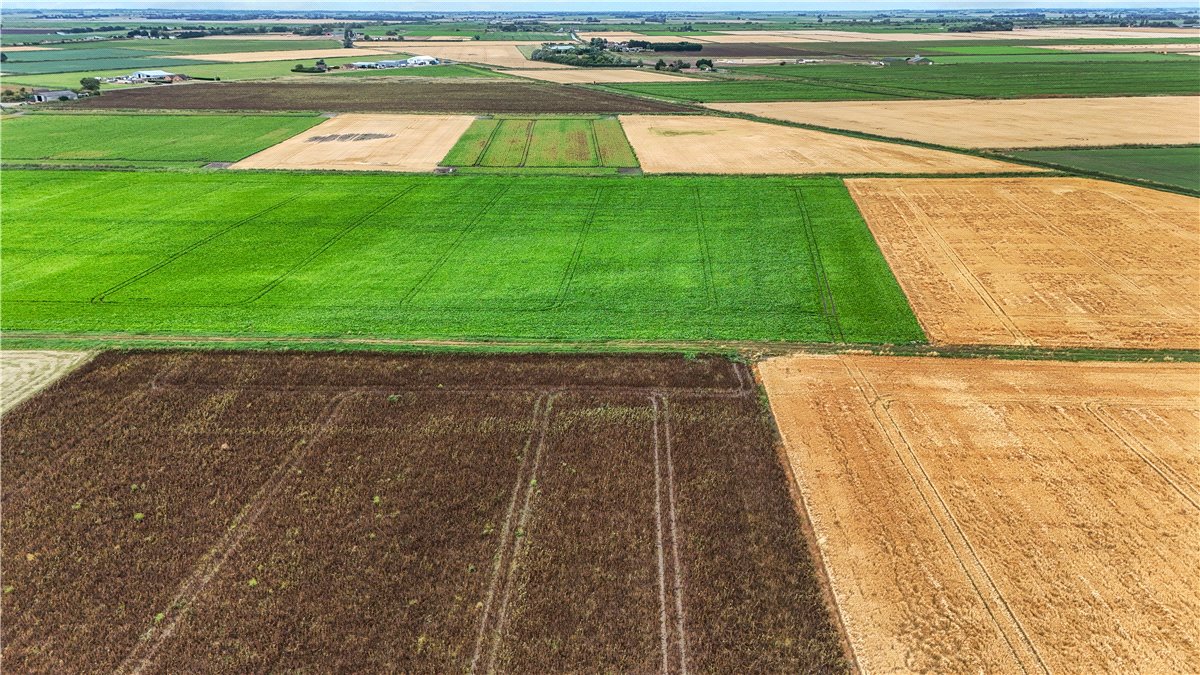 6.58  Land, Little Downham, Ely, CB6 - Available, Image 1