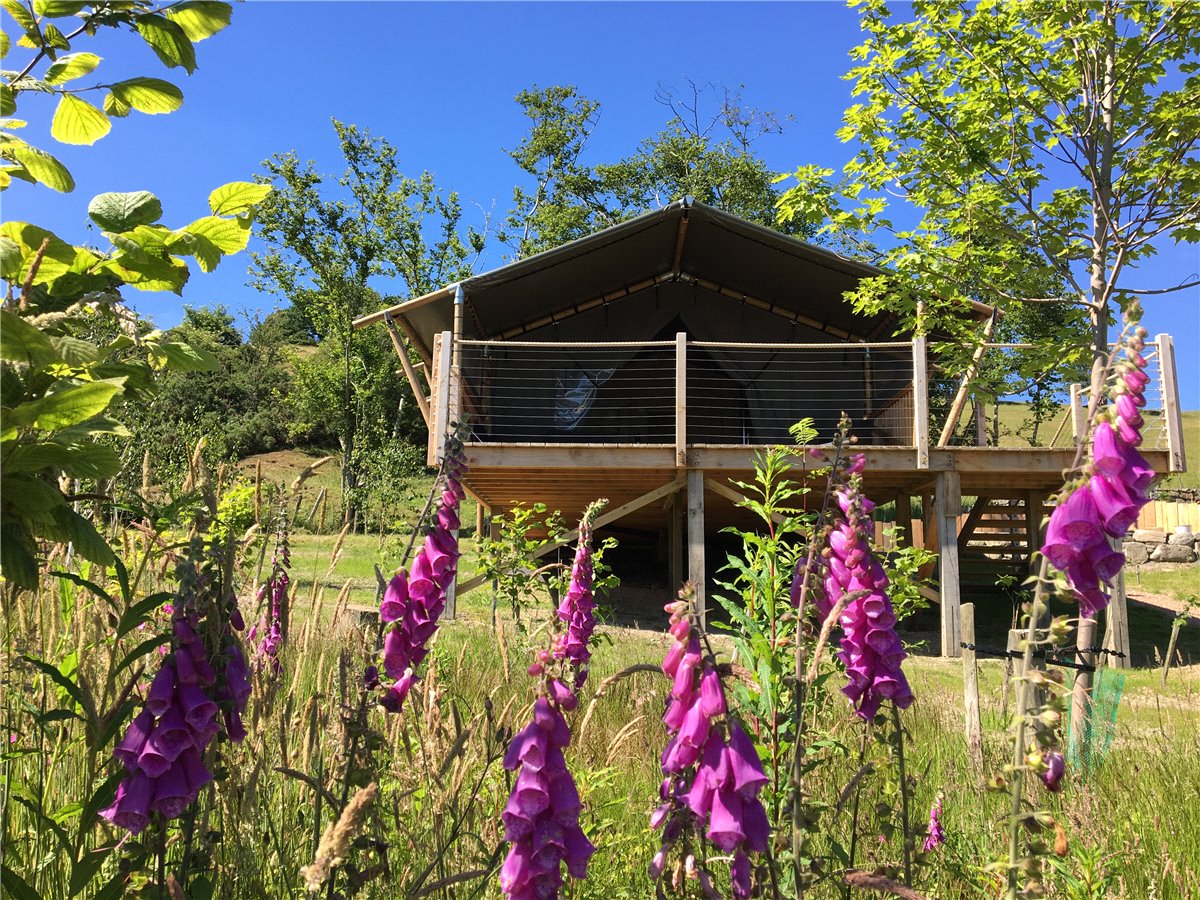   Land, Llangyniew, Welshpool, SY21 - Available, Image 13