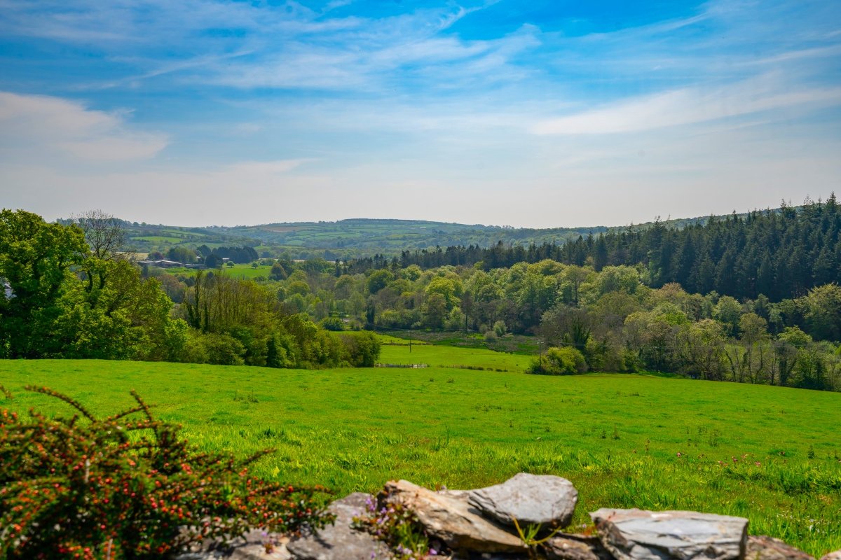 45.57  Farm, Golberdon, Callington, PL17 - Sold, Image 19