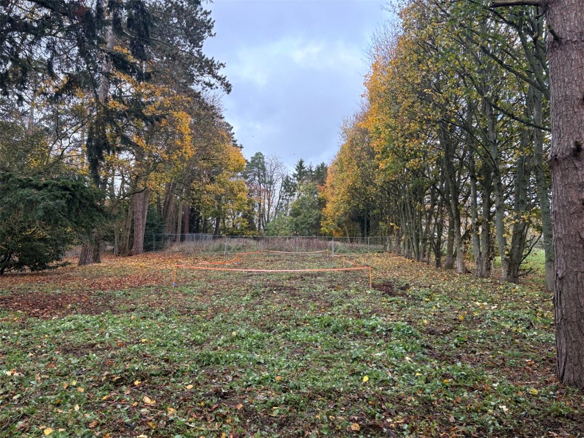   Development Land, Tudor Avenue, Chieveley, RG20 - Available, Image 3