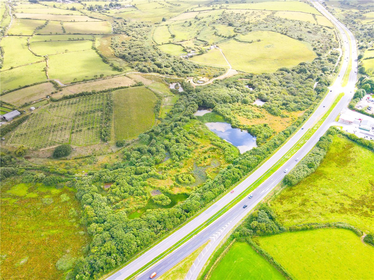 16.98  Land, Trewint, Altarnun, PL15 - Sold