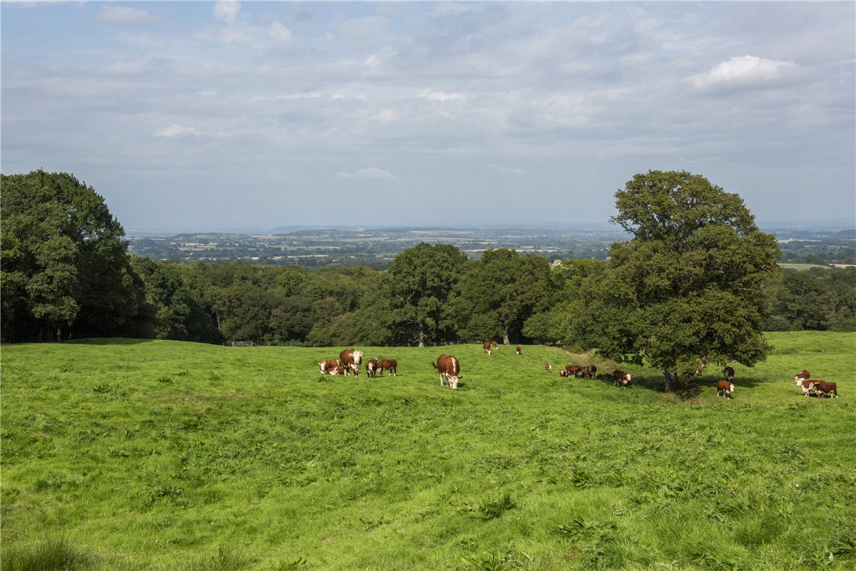 227  Farm, Buckland St. Mary, Chard, TA20 - Available, Image 8