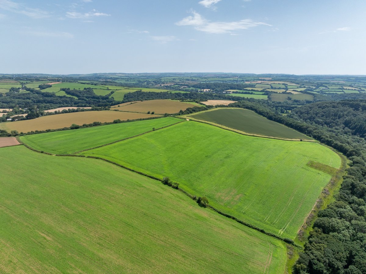 49.79  Land, Land At Resugga Farm, St. Stephen, PL26 - Sold STC, Image 5