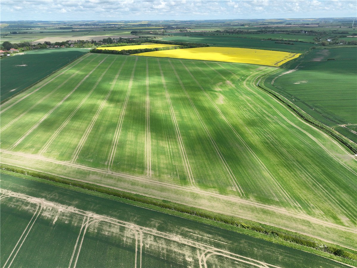   Land, Lot 2 - Land At Beeford and Foston, Driffield, YO25 - Sold STC, Image 3