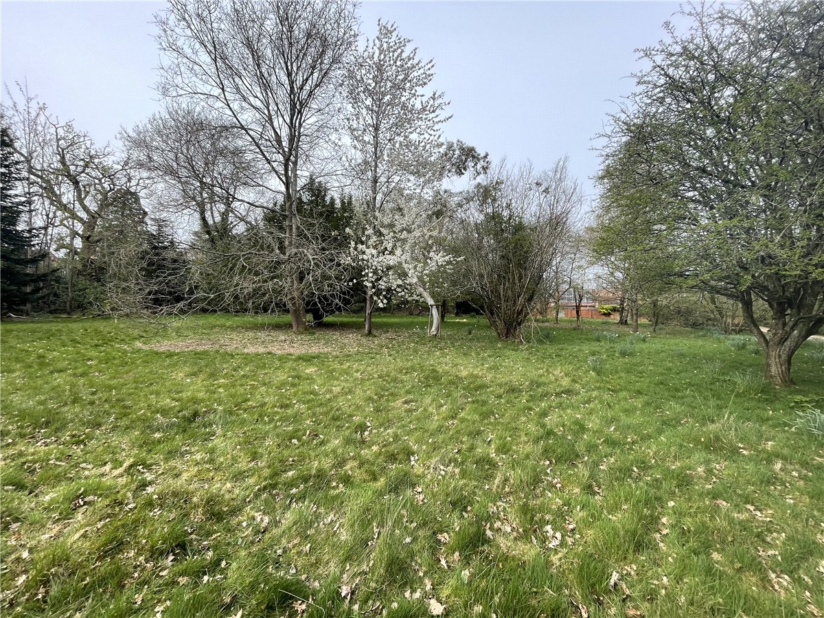 1  Development Land, Andover Road, Highclere, RG20 - Sold STC