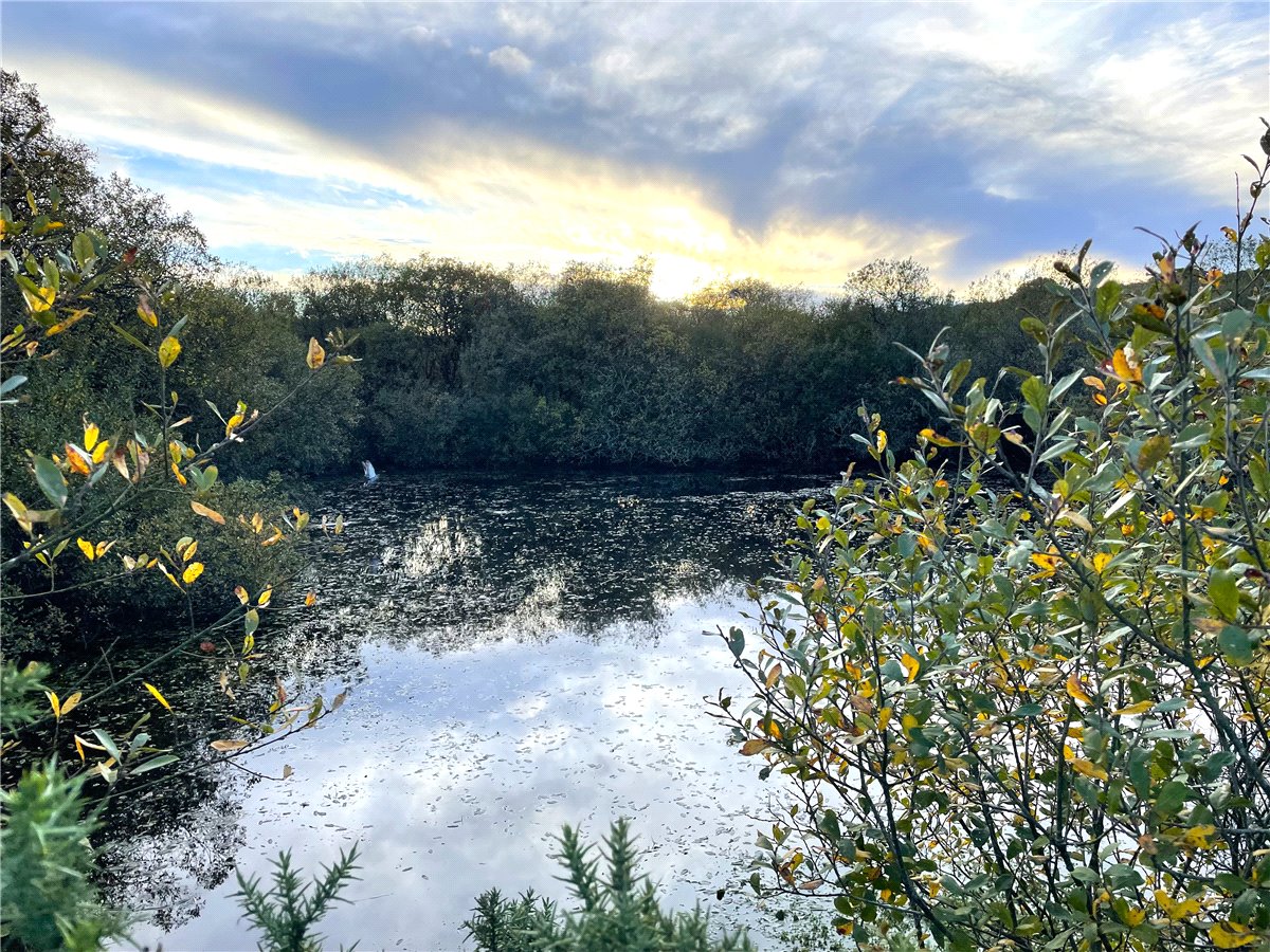 16.98  Land, Trewint, Altarnun, PL15 - Sold, Image 11