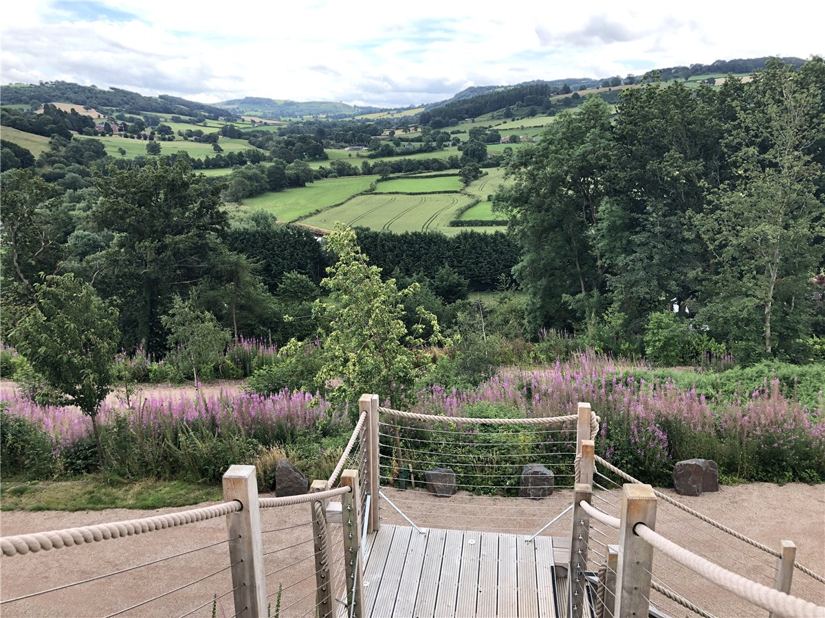   Land, Llangyniew, Welshpool, SY21 - Available, Image 28