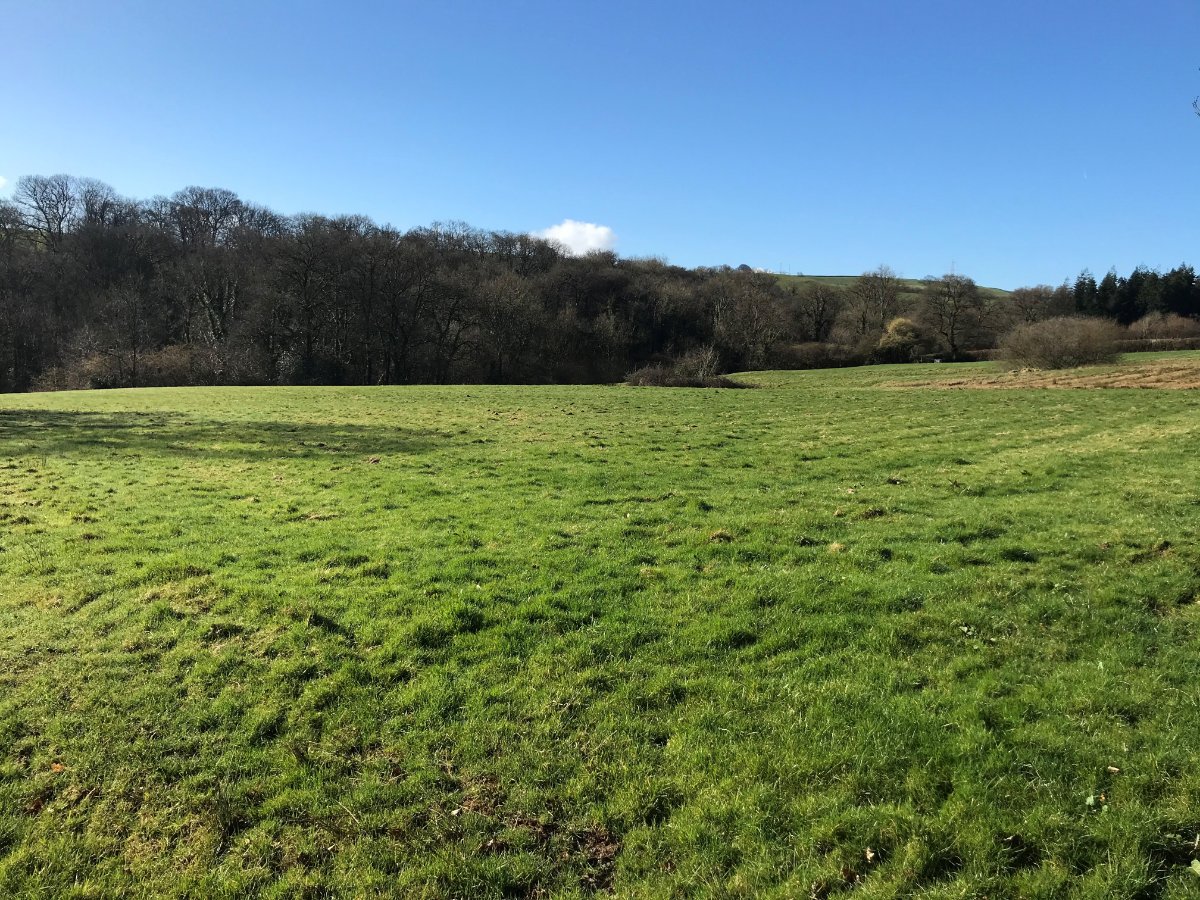 6.51  Land, Land At Waterrow, Taunton, TA4 - Sold