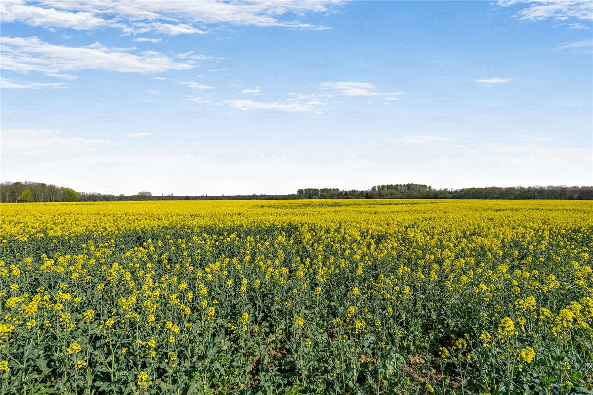 69.06  Land, Thame, , OX9 - Sold STC, Image 1