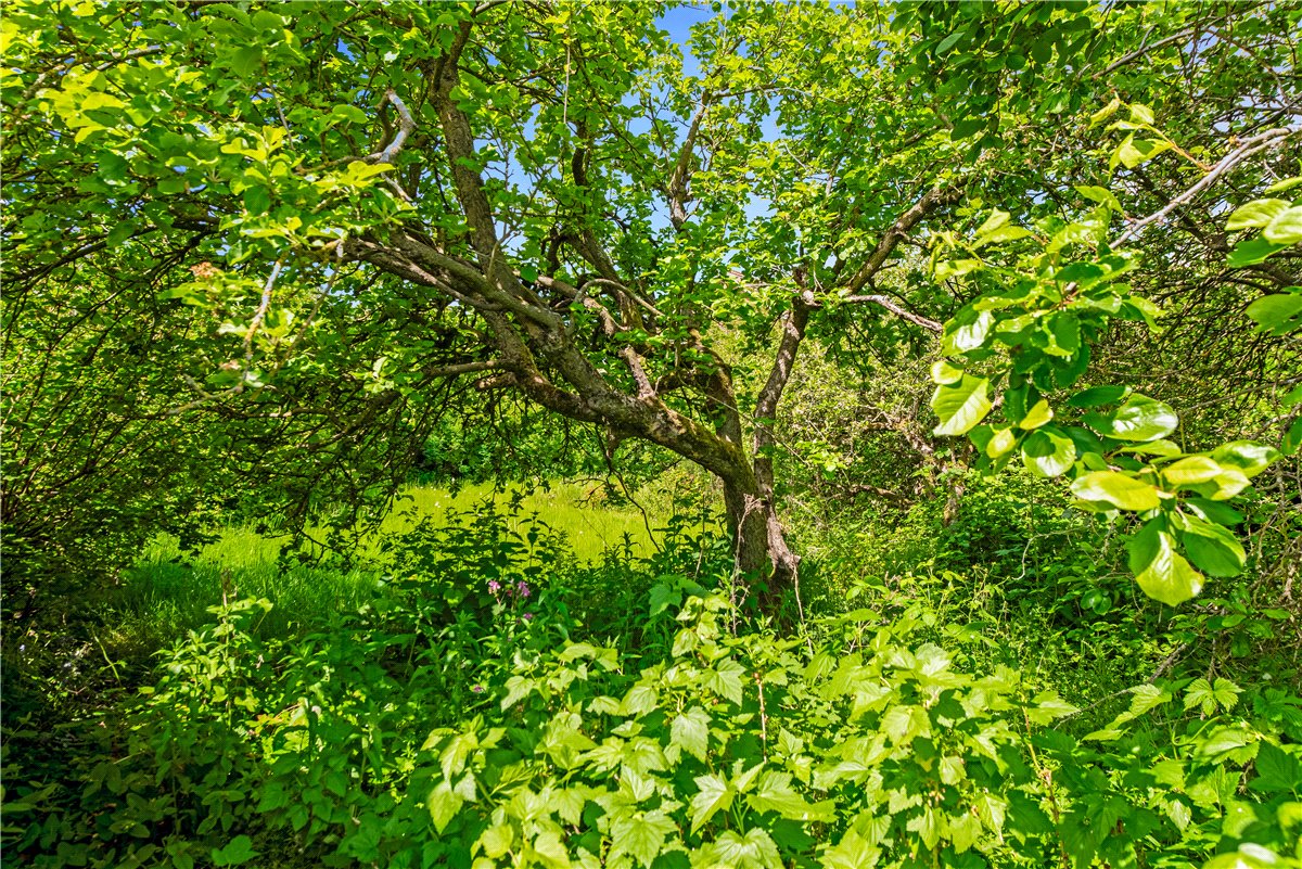 4 bedroom House, Main Street, Sutton on Derwent, YO41 - Sold STC, Image 4