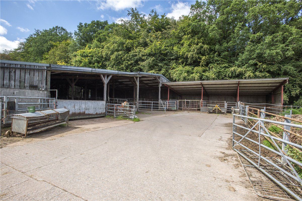 227  Farm, Buckland St. Mary, Chard, TA20 - Available, Image 13