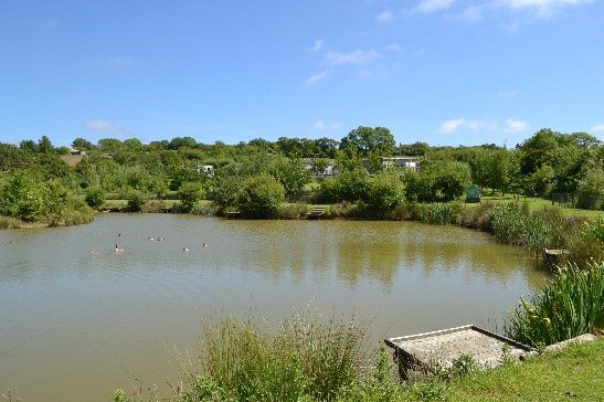 10 bedroom Bungalow, Staddon Road, Holsworthy, EX22 - Sold
