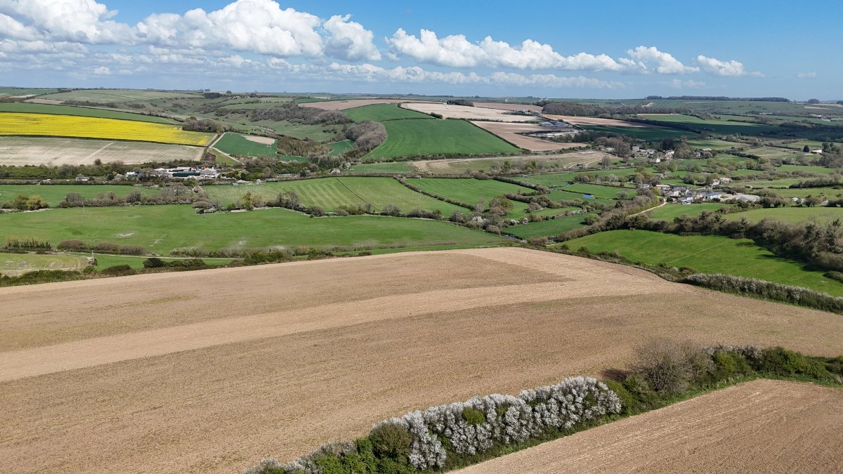 86.11  Land, Lot 2: Land At Cruxton Manor Farm, Cruxton, DT2 - Available, Image 1