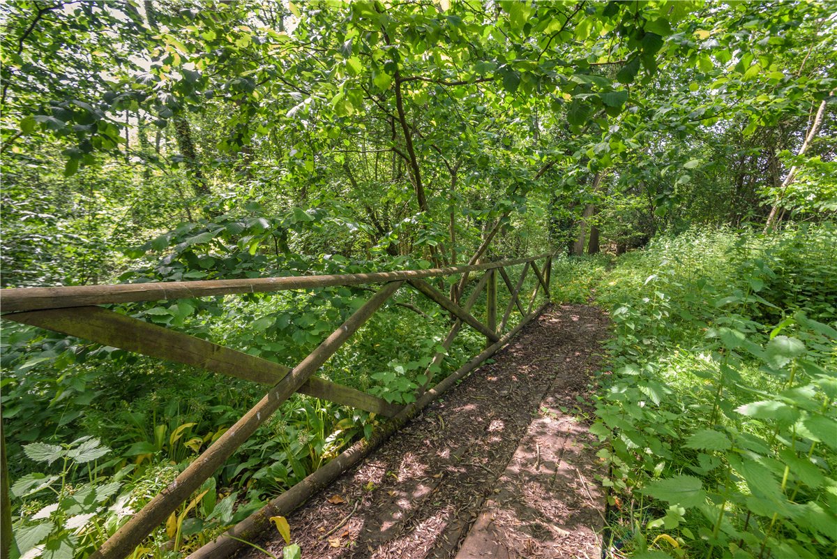 6.13  Land, Midgham, , RG7 - Available, Image 4