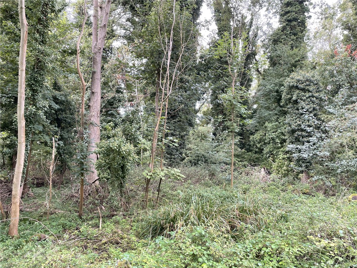 3.84  Land, Whittlesford, South Cambridgeshire, CB22 - Available, Image 2