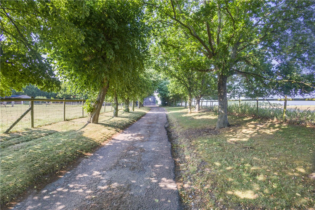   Land, Cookley, Halesworth, IP19 - Available, Image 57