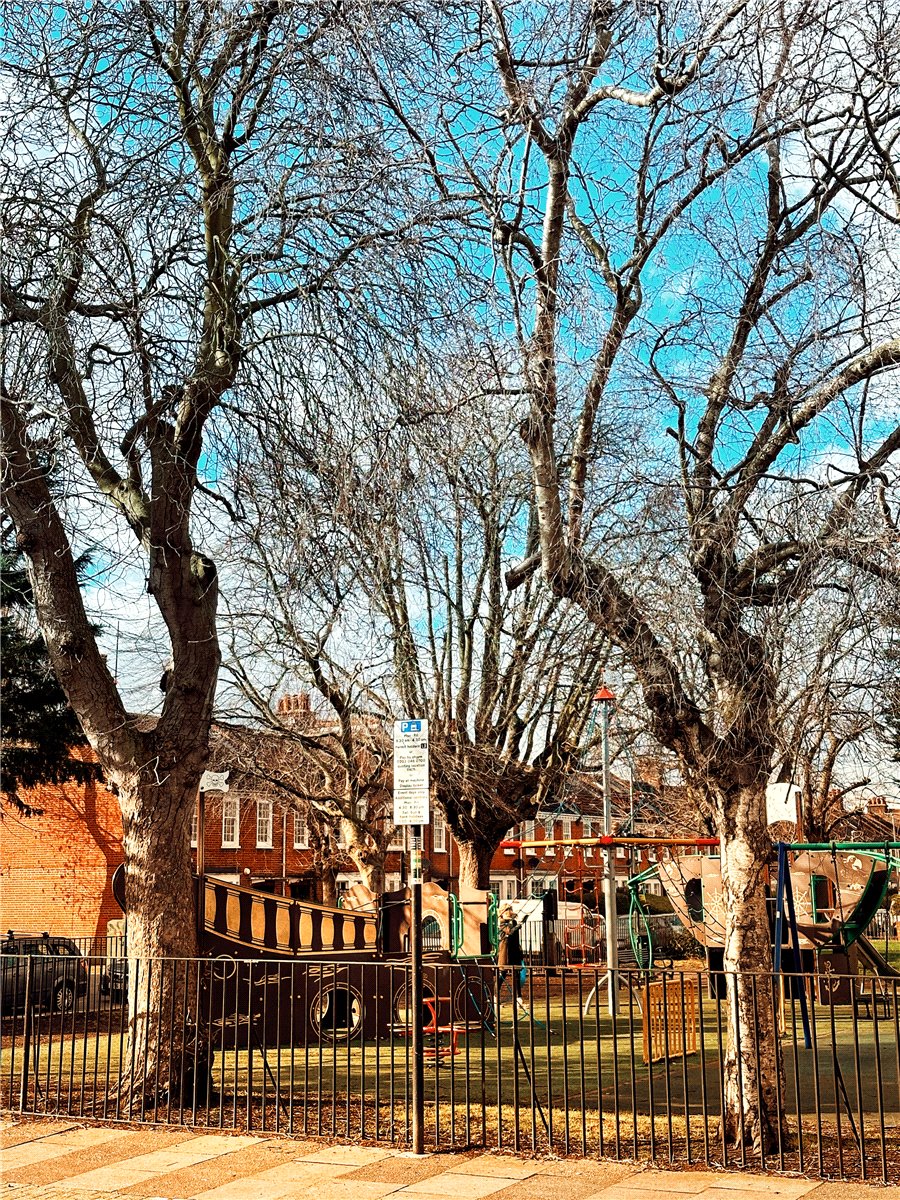 4 bedroom House, London Square Wandsworth Common, Springfield Drive, SW17 - Available, Image 1