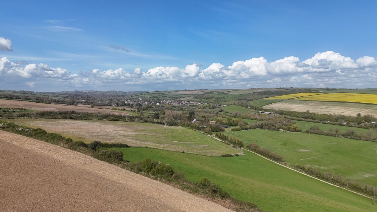 86.11  Land, Lot 2: Land At Cruxton Manor Farm, Cruxton, DT2 - Available, Image 4