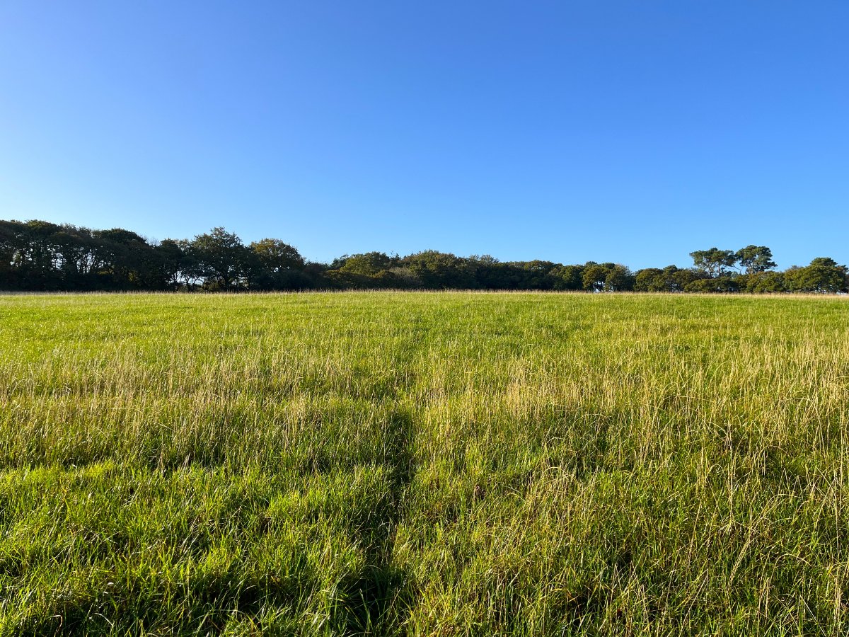 70.72  Land, Zelah, Truro, TR4 - Sold
