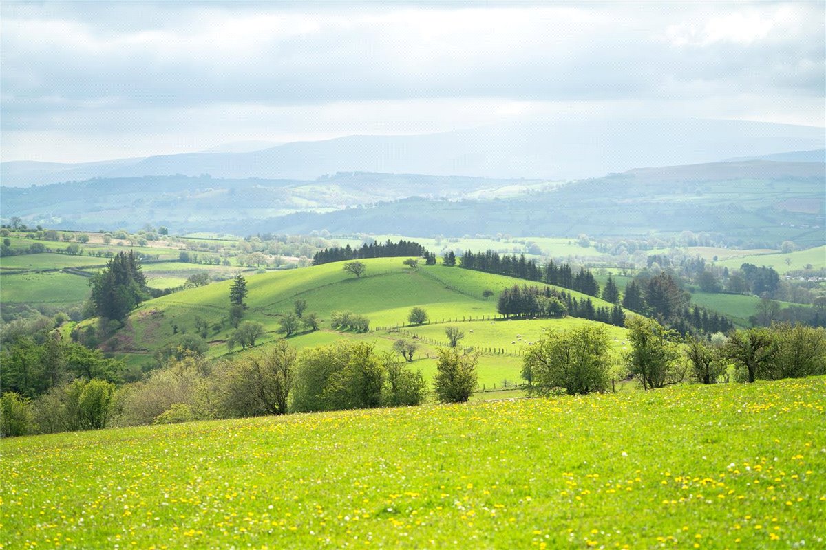 34.29  Farm, Pentrefelin, Sennybridge, LD3 - Sold, Image 5