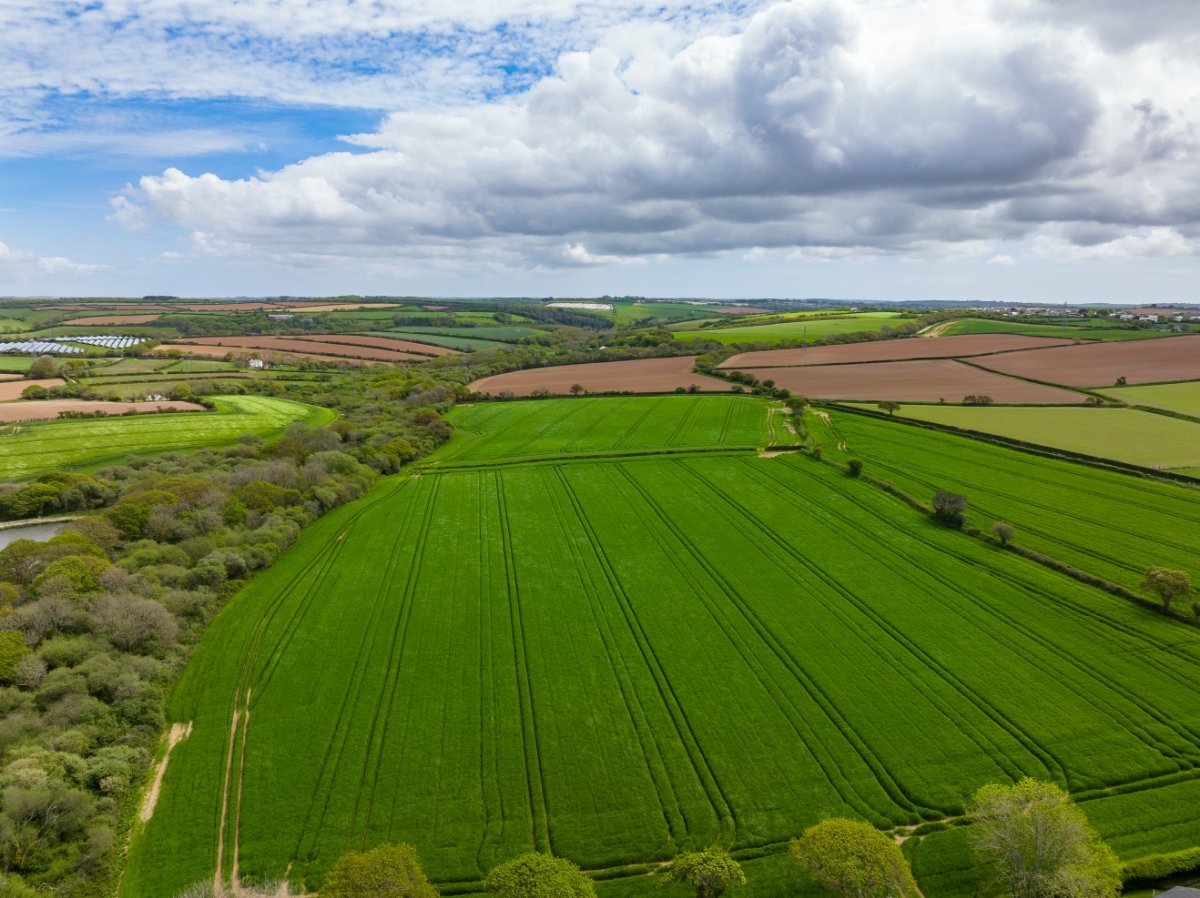 78.99  Land, St Allen, Truro, TR4 - Sold