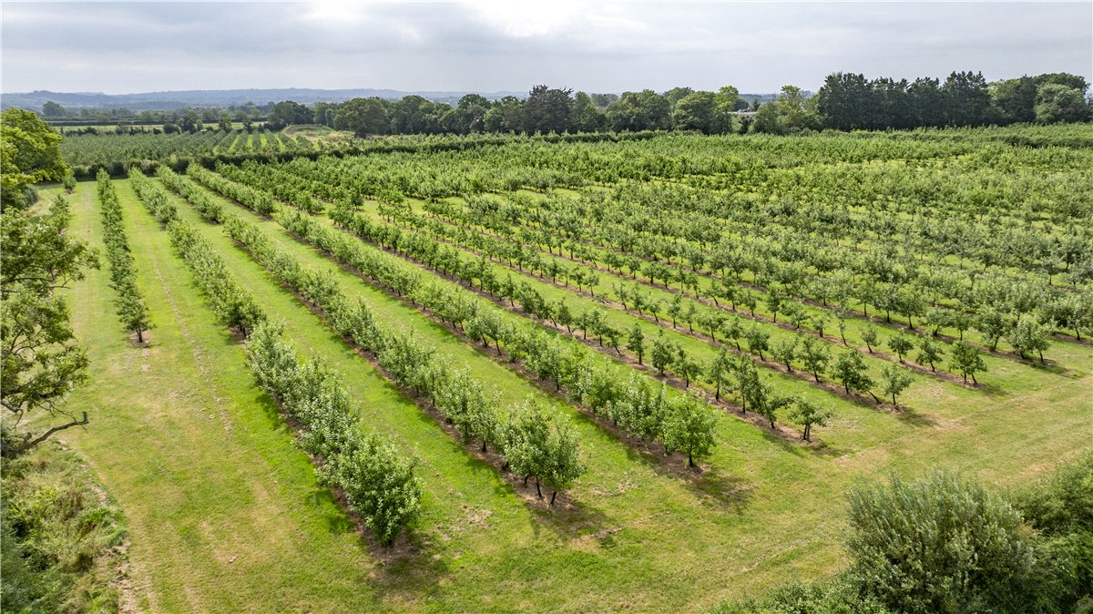 41.36  Land, Shepton Mallett, Somerset, BA4 - Sold, Image 2