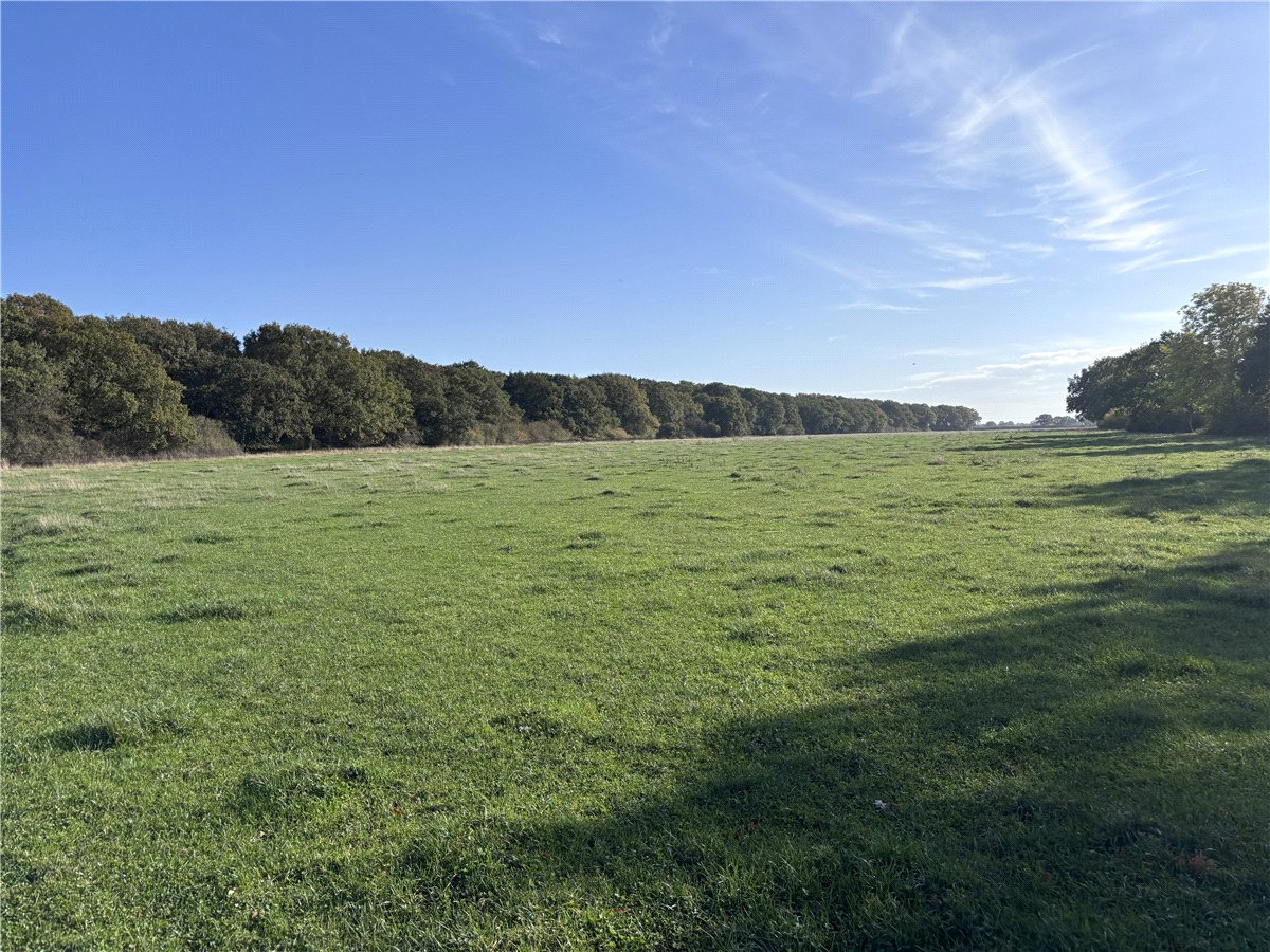   Land, Land At Ellerton & East Cottingwith, York, YO42 - Available, Image 14