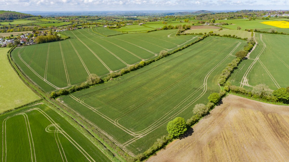 289.47  Farm, Cann, Shaftesbury, SP7 - Sold, Image 24