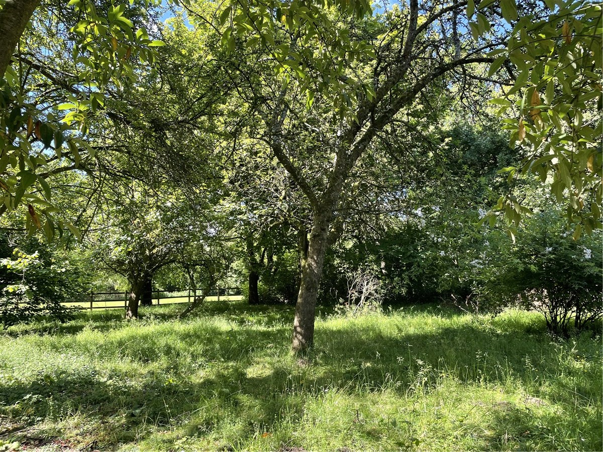 3 bedroom Cottage, Box, Corsham, SN13 - Sold, Image 3