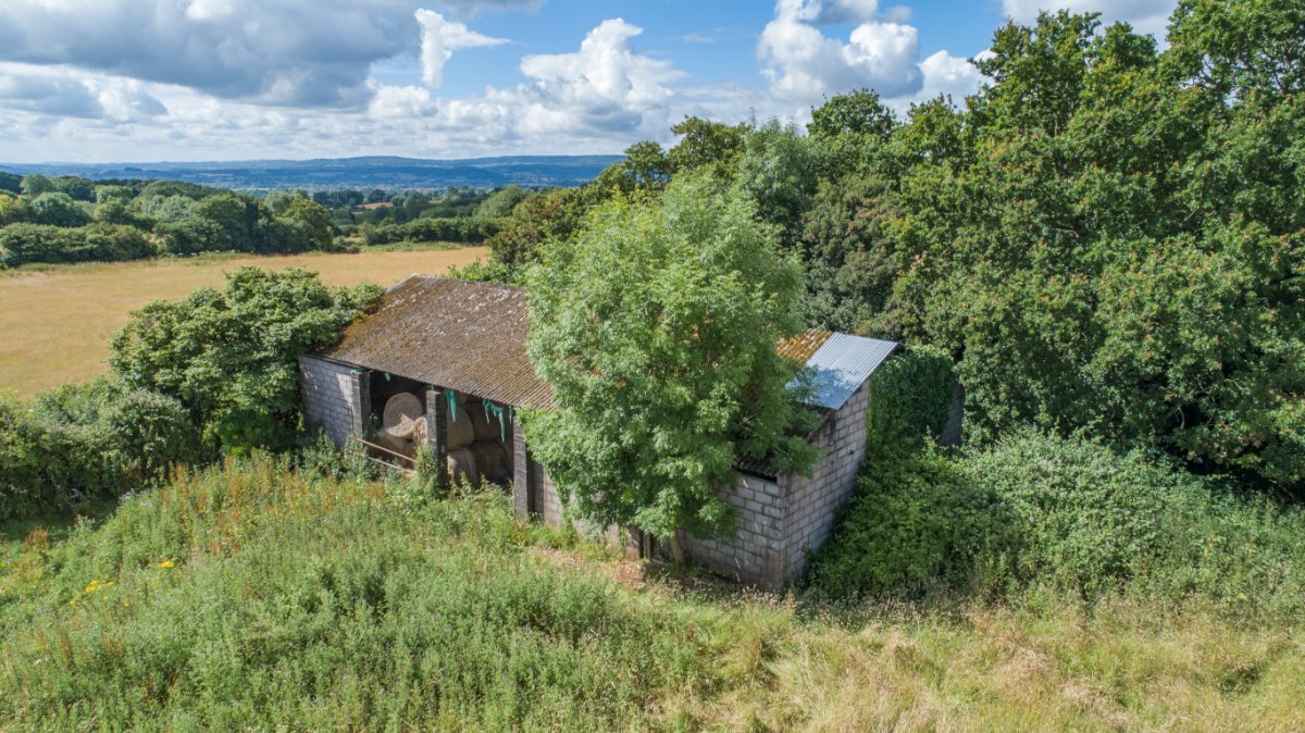 9.81  Land, Greenway Farm, Thurloxton, TA2 - Available