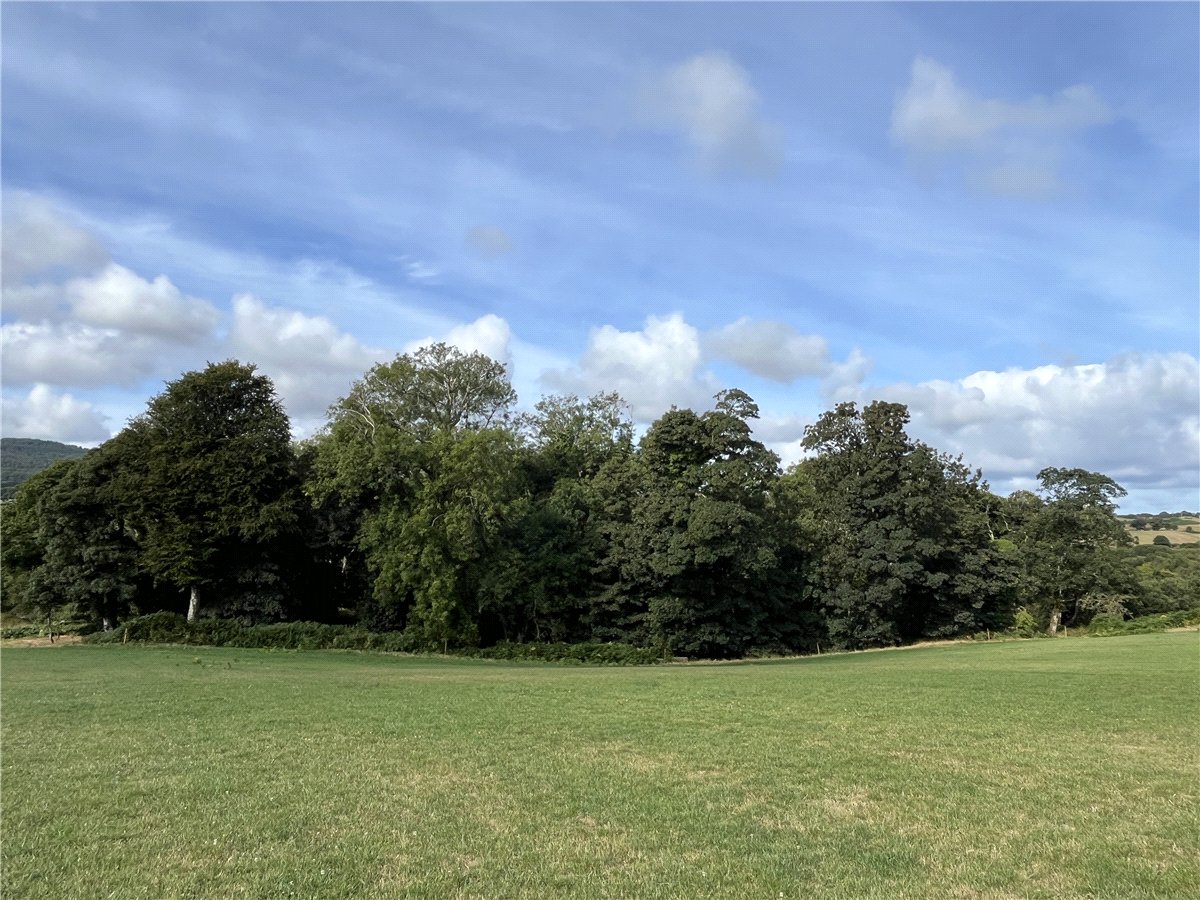 36.69  Land, Boduan, Pwllheli, LL53 - Available, Image 1