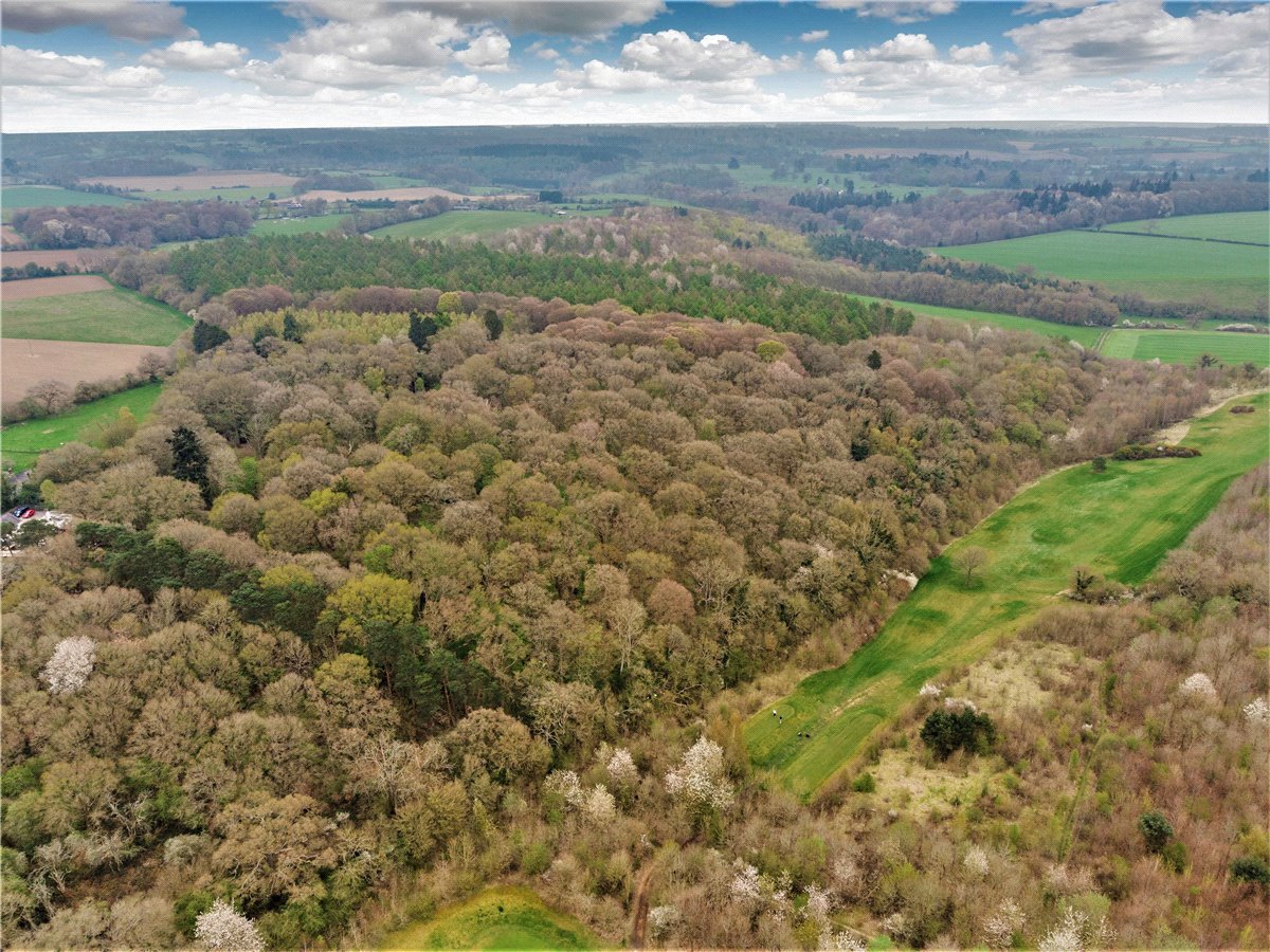 19.87  Land, Rotherfield Greys, Henley-on-Thames, RG9 - Sold