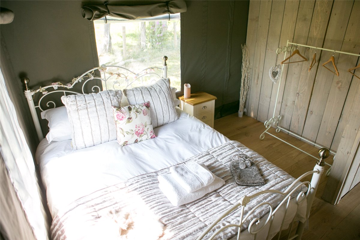   Land, Llangyniew, Welshpool, SY21 - Available, Image 12