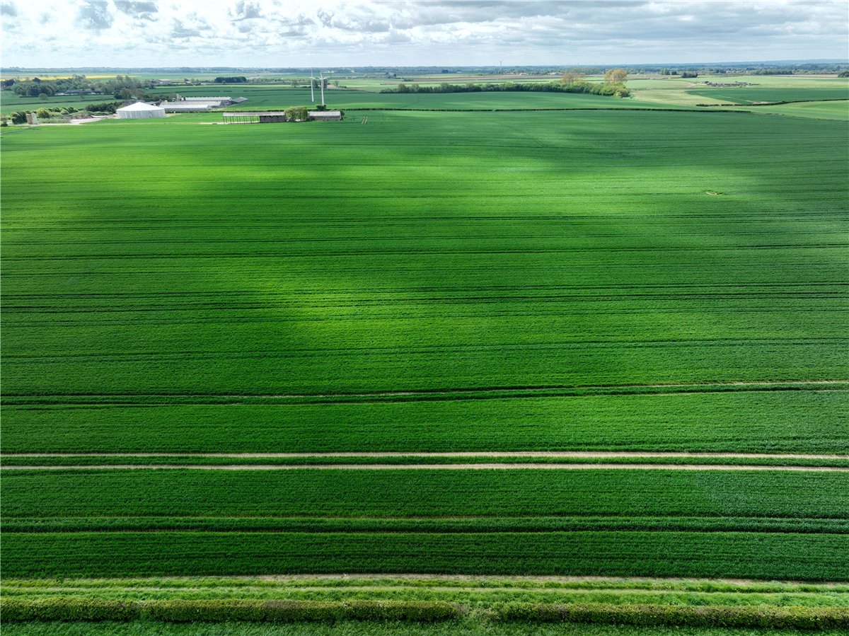   Land, Lot 3 - Land At Beeford and Foston, Driffield, YO25 - Sold STC, Image 1