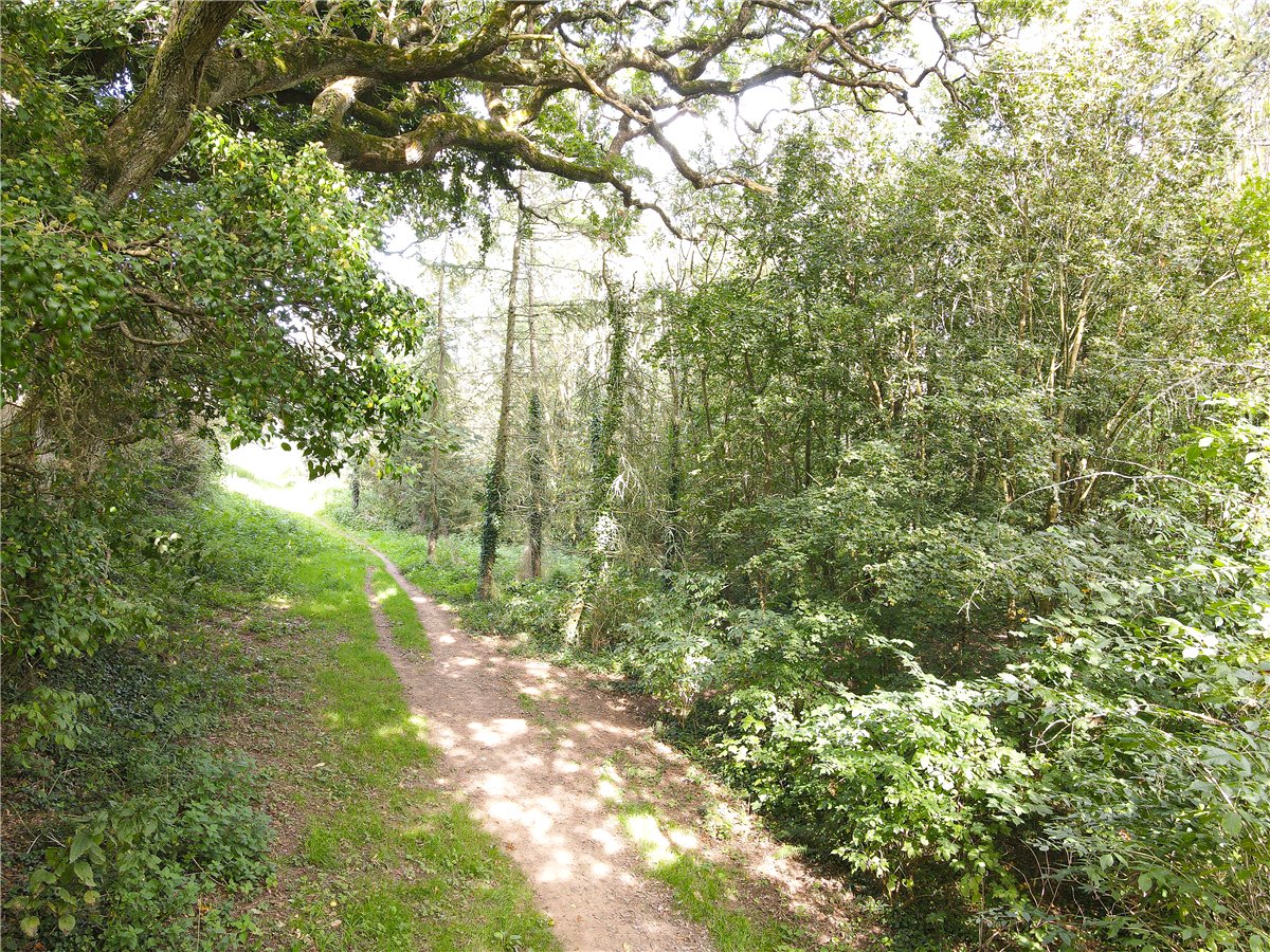 16.24  Land, Marhamchurch, , EX23 - Sold, Image 8